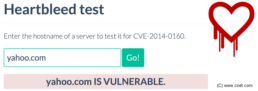 heartbleed bug test